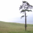 거사목장 이미지