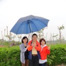 평택농장 이미지