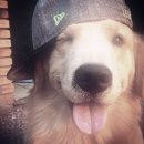 부광여자고등학교 | 여름 코코아 겨울 수박도