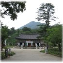 전주 송광사 연꽃을 보고와서 이미지