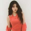 타미 이미지