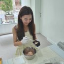 견묘양처 이미지