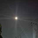 통기타기초(1년) 이미지