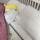 전기요,이메텍전기매트,이탈리아이메텍,이메텍사용후기,이메텍전기요싱글더블,전자파안심전기요,전기매트