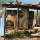 근수농장 이미지