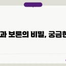 보론