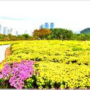 [2025. 10. 31. 금.]-[비 후 해. 13℃~21℃, 06:44~17:32]-[운동 휴식] 이미지