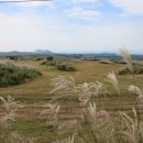 도치돌가든 이미지