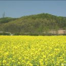 군포-산본-2007 티스토리