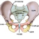 여주코코 이미지