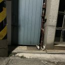 스낵 Snacc 이미지