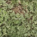 우리건강식품 이미지