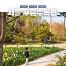 푸른환경자원 | 서울 푸른수목원 항동저수지 아이랑 가기 좋은곳 항동푸른도서관 코스