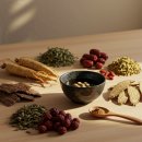 의사가 직접 알려주는 40~50대 여성을 위한 한달만에 쉽고 건강하게 5Kg 빼는 법 | 다이어트 한약, 효과 부작용 가격 총정리! 요요 없는 감량 5가지 솔직 후기