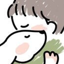 안다 동물보호소 이미지