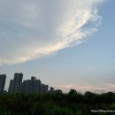 호텔야자 용인터미널지점 | 용인 맛집 처인구 김량장동 중앙시장 용인터미널 근처 시로이 돈까스 본점