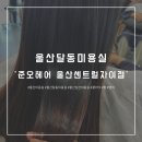 [뷰티]울산 달동 미용실 준오헤어 울산센트럴자이점에서 클리닉 받은 후기:) (with.강사랑디자이너선생님)