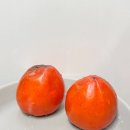 선이농원