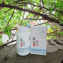 맥스솔루션 | 파인애플효소 닥터초이스솔루션 씹어먹는 파인애플맛 효소맥스 솔직 후기!