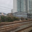 드림공원 | 부산러의 첫 올림픽공원 KSPO돔 공연 관람, 드림쇼4 앙콘 후기 (3/21)