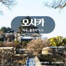 엠에스투어 이미지