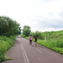 낙동강변14 이미지