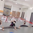 오창월드태권도 이미지