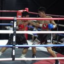 위복싱짐 이미지