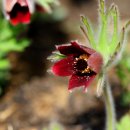 보운농장 이미지