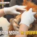 화목종합동물병원 이미지