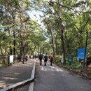 벽운동천 이미지