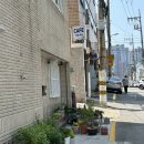 나무타는고양이 구경하는강아지 | 부산브런치카페 예쁜 정원뷰 11월4일 애견동반 다녀온 후기