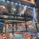 초심, 처음태권도 이미지