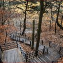 치악산둘레길 11코스 한가터길 | 치악산둘레길 11코스 한가터길 잣나무 숲의 피톤치드와 국형사