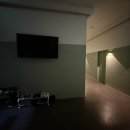미사랑동물병원 | 미사마사지 에코미 마사지 미사점 방문기