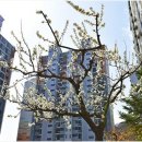 매천로2길 이미지