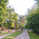 포항철길숲 이미지