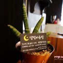 달빛미용실 이미지