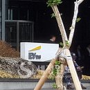 세무법인한영 이미지