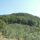 봉산 마을회관 이미지