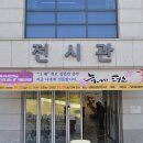 늦게 피는 꽃 이미지