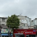 선정공원 | 효창공원 싱싱나라김밥 후기/ 김밥인플루언서가 선정한 5점만점 김밥집, 효공잉어빵 대기 줄, 장조림...