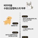 바우라움 수원신갈캠퍼스 이미지
