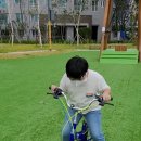 리바이클 이미지