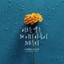 다온기획 이미지