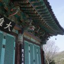 도초 만년사 이미지