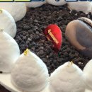 라라 편의점 이미지