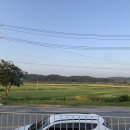 담소카페 - 홍천군 | 담소카페
