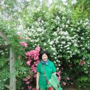 심심풀이 이미지