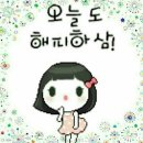 개들의성 이미지